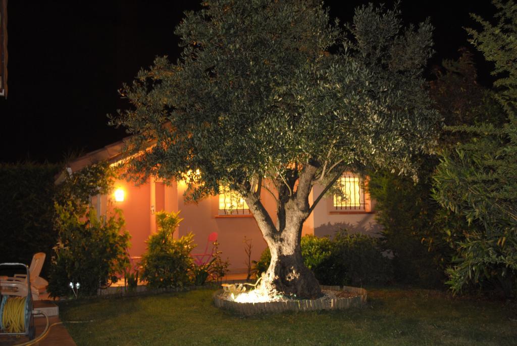 Les Cyprès Florentins Colomiers Chambre photo