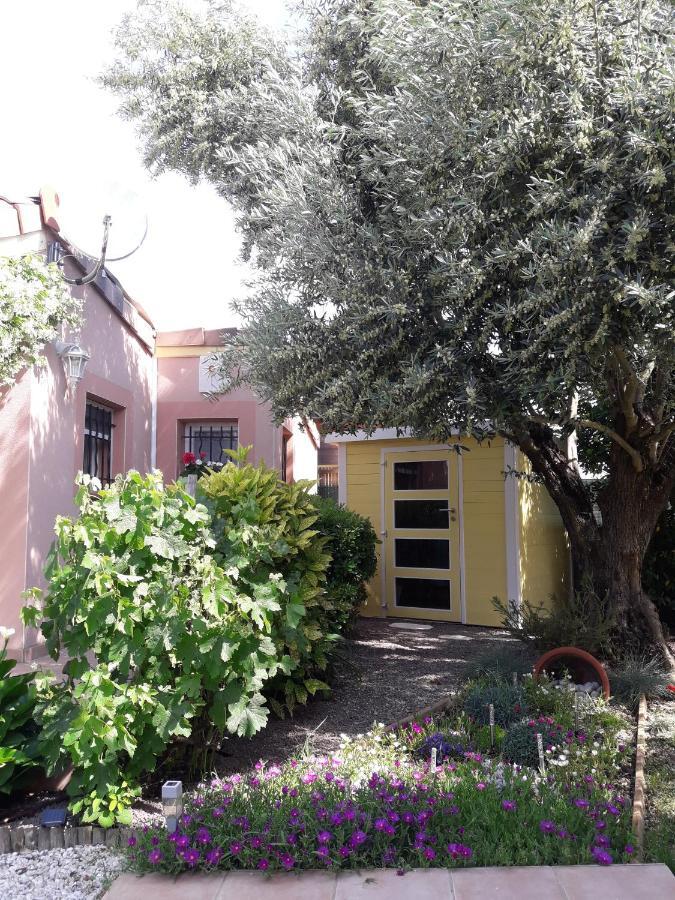 Les Cyprès Florentins Colomiers Extérieur photo