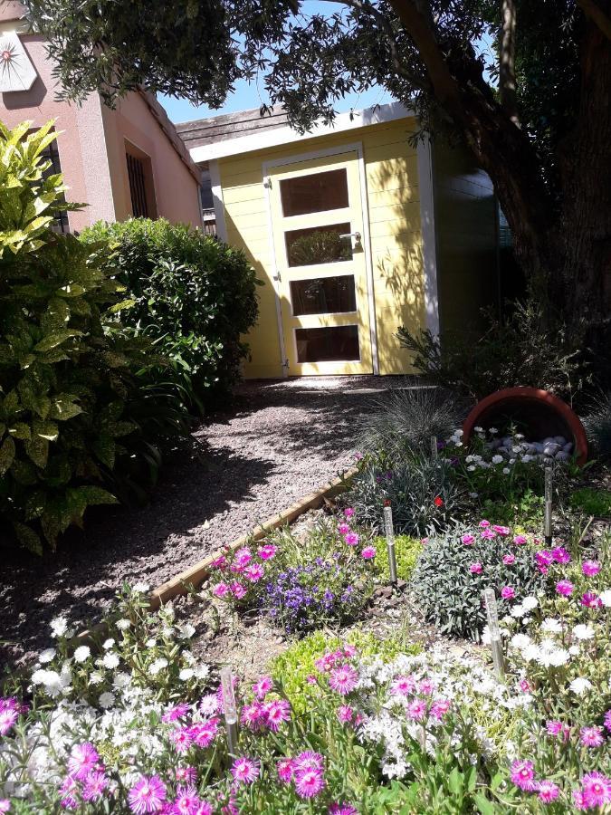 Les Cyprès Florentins Colomiers Extérieur photo
