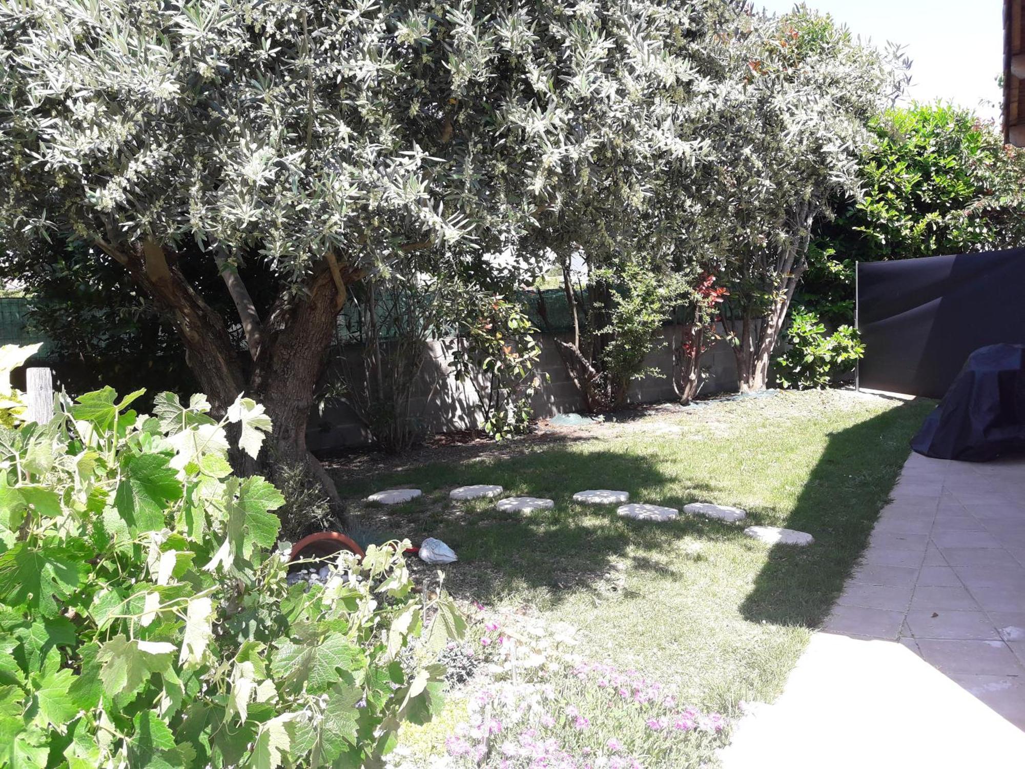Les Cyprès Florentins Colomiers Extérieur photo